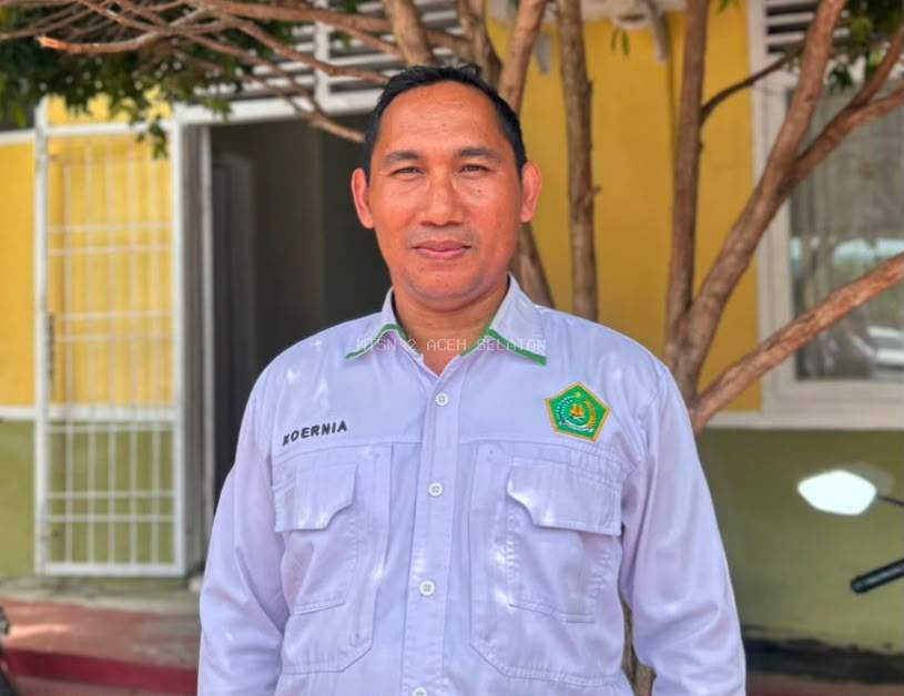 Disiplin Adalah Kunci Kesuksesan: Belajar dari Filosofi Pohon